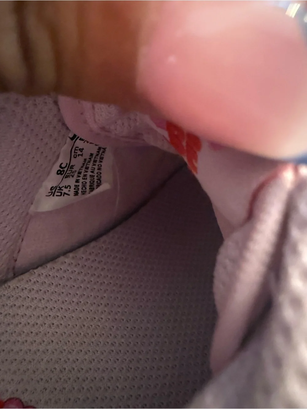 Nike Kids Pink and Red Nike Dunk Low